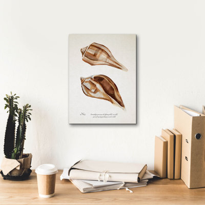 «Sienna Shell Collector 3» par Annie Warren, art mural sur toile