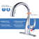 WOWOW Kitchen Faucet with Soap Dispenser