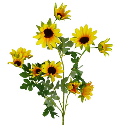 Aneris Arrangement