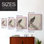 «Vintage Animal Print», reproduction encadrée en bois massif-2144475246-2144475237