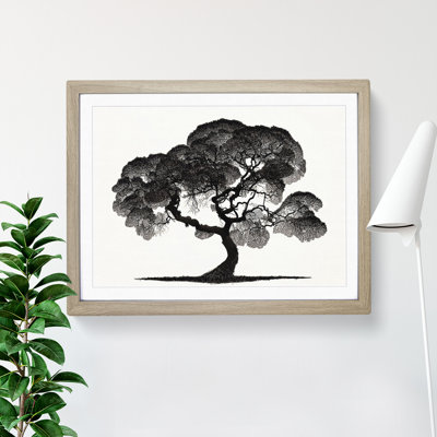 Entrancing Tree - Single Picture Frame Print