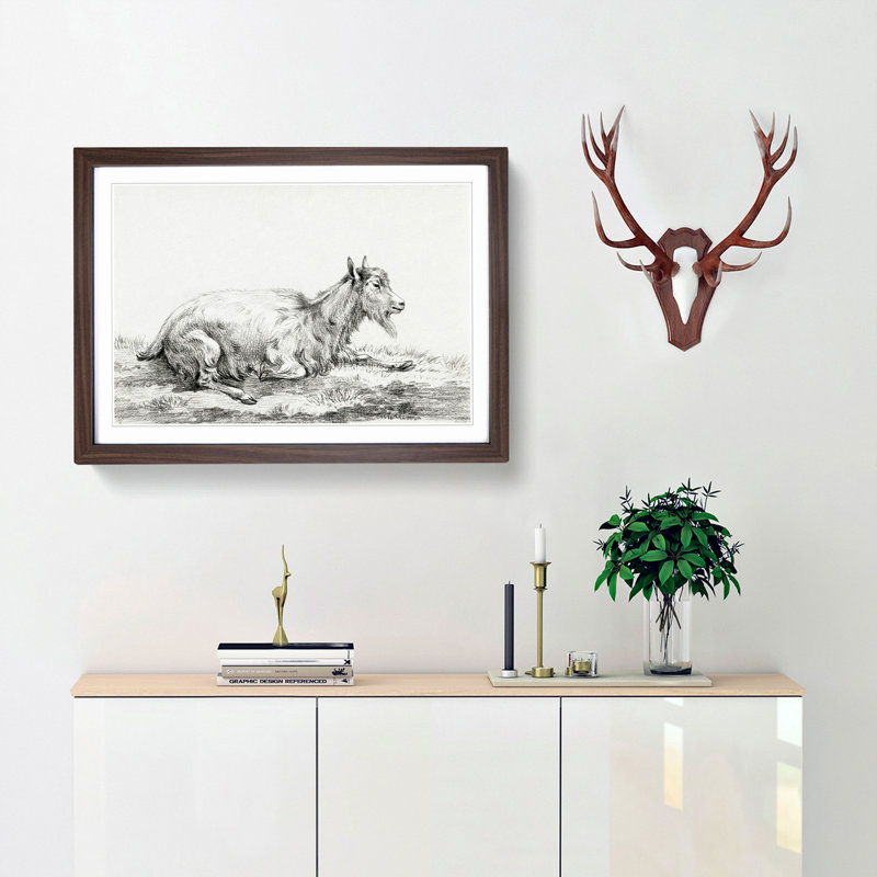 Resting Goat by Jean Bernard - Picture Frame Drawing Print, 36cm H x 48cm W x 2cm D, Walnut Framed