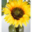 Arrangement mixte dans un vase