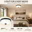 Glass Flush Mount