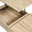 Pranshu Brown Stained Wood and Steel Lift-Top Coffee Table