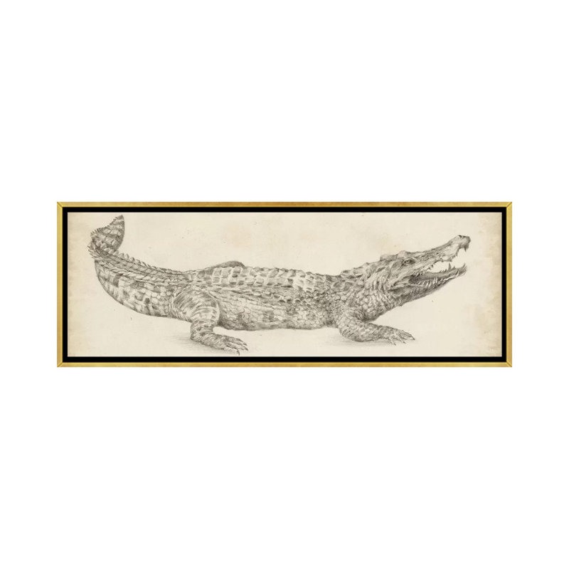 Impression sur toile « crocodile sketch » par Ethan Harper, H 16 po x l 48 po x 1,5 po, Toile encadrée d'or