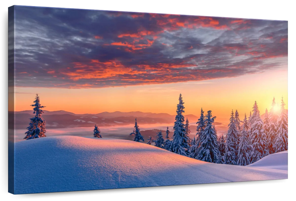Millwood Pines Alvord Alps Winter Wonderland | Wayfair