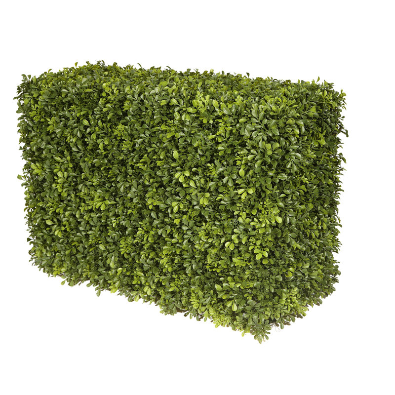 Hedge, 21" H x 13" W x 30" D