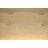 Gaither Polyester Upholstered Storage Bench-1524325465