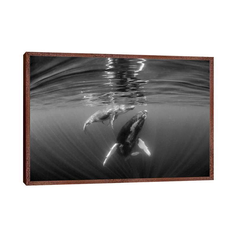 Mother & Calf by Jordan Robins - Gallery-Wrapped Canvas Giclée on Canvas, 66.04 cm H x 45.72 cm W, Classic Wood Framed