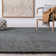 Sisler Performance Indoor Rug