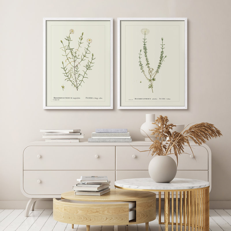 «Vintage Botanical Herb Study», ensemble de 2 reproductions d'art encadrées - Illustration de plante classique pour la salle à manger de la cuisine