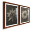 «Blossfeldt Flower I», ensemble de 2 reproductions de photos sur papier encadrées-309876272-309876237