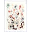 «Nc Bespoken Blossoms I» par Grace Popp - peinture encadrée-464415027-487023875