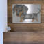 «Dappled Dachshund Walking» par Danny Gordon-604819483