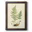 «Curtis Ferns II», reproduction sur toile encadrée-73982582