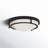 Barrick 2-Light Ceiling Light in Matte Black-222105147