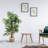 59'' Faux Bamboo Tree in Cement Basket