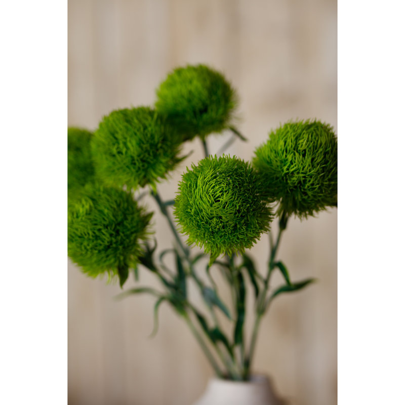 Dianthus Stem, Light Green