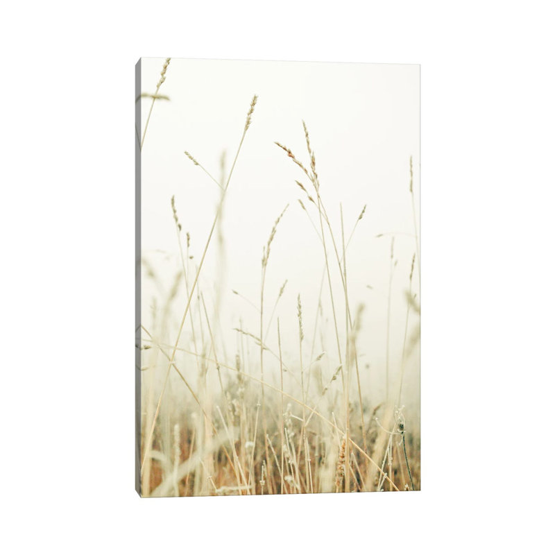 Winter Field II by Olivia Joy StClaire - Wrapped Canvas Print, 66.04 cm H x 45.72 cm W x 3.175 cm D