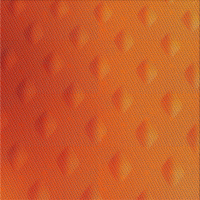 Indoor Rug