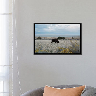 «Bison in the Field», reproduction de photo sur toile