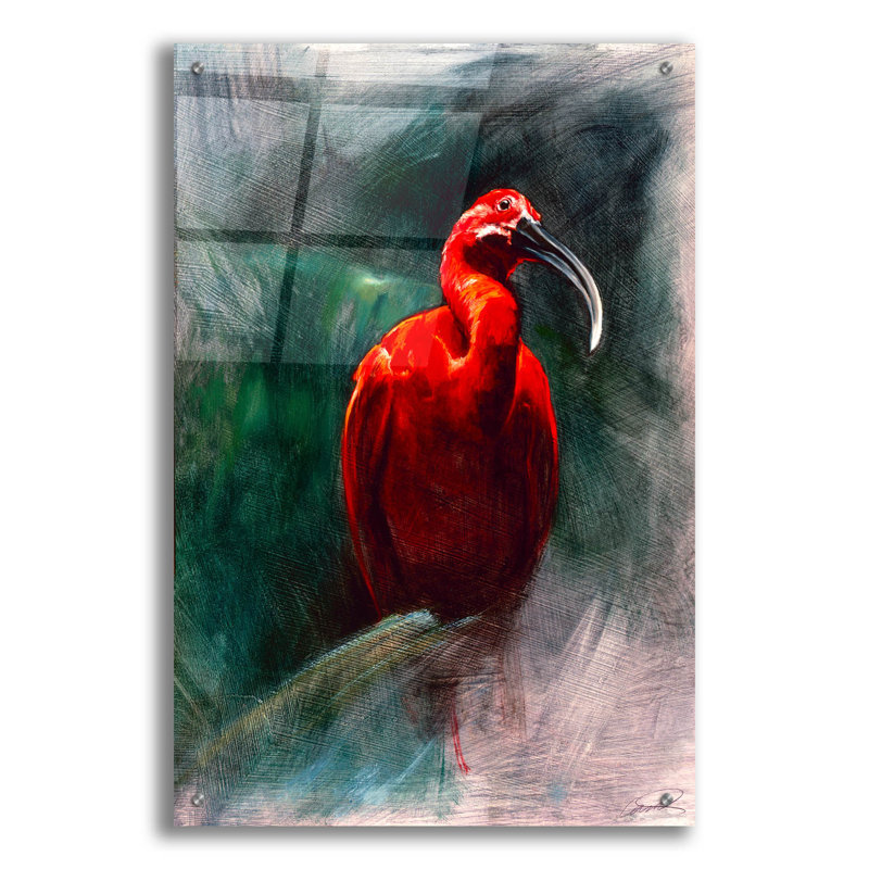 «Scarlet ibis» par Robert Campbell, art mural en verre acrylique, H 36 po x l 24 po x P 0,2 po