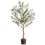 Plant-1153444753