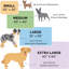 Couverture solide pour animaux