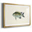 «Tropical Fish Collection VI», reproduction d'art encadrée-714303115-714303114