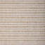 Goa Stripe-1136731052