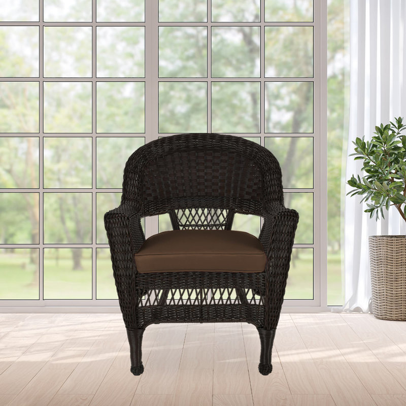 Arliss Steel Outdoor Lounge Chair, Espresso, Brown