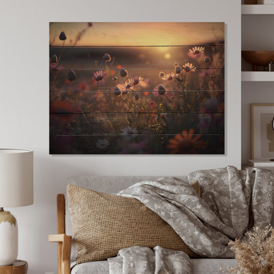 " Sunset Field Of Flowers II "