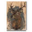« Red Deer Stag II », reproduction d’art sur toile tendue-540102391