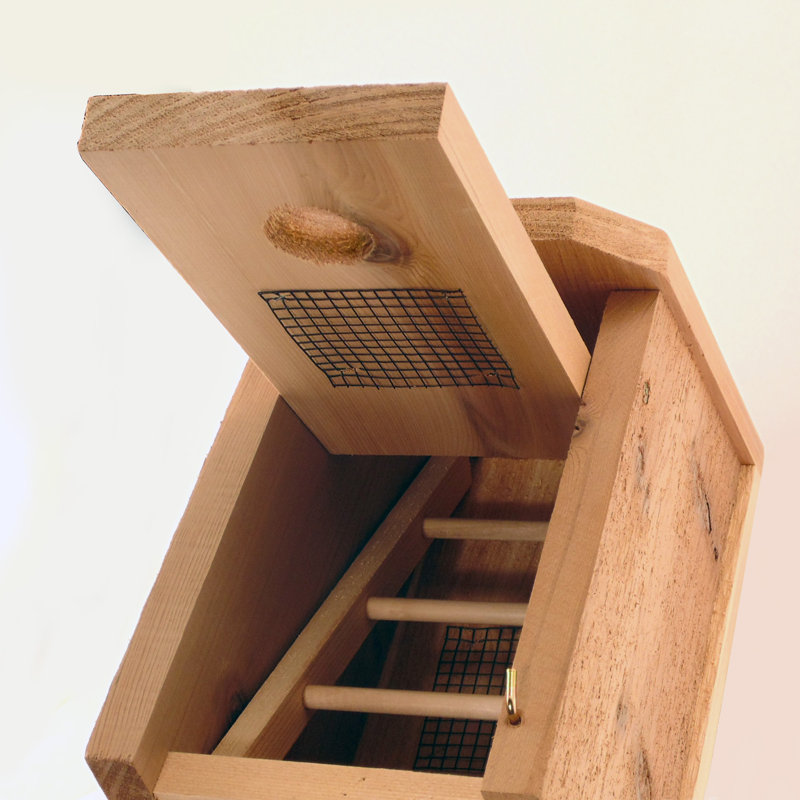 Unfinished Cedar Wood Birdhouse for Winter Roosting and Shelter