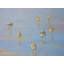 Oiseaux dans la brume par Phyllis Adams - Peinture-64401944