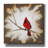 'Weathered Friends - Cardinal' by Britt Hallowell, Canvas Wall Art-1773016938