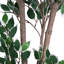 Ficus artificiel Lira de 69 po (pot non inclus)