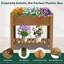 Lit de jardin surélevé en bois Behn-1046163701