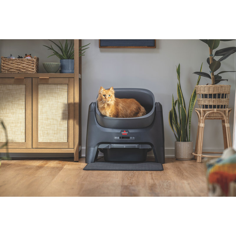 CleanWell Self Cleaning Litter Box