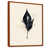 Brown Floater Framed