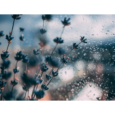 Jour de pluie