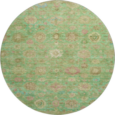 Premium Machine Washable Verlin AMF1770 Damask Rug