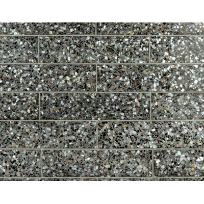 Mother of Pearl 2.95" x 11.81" Seashell Subway Tile
