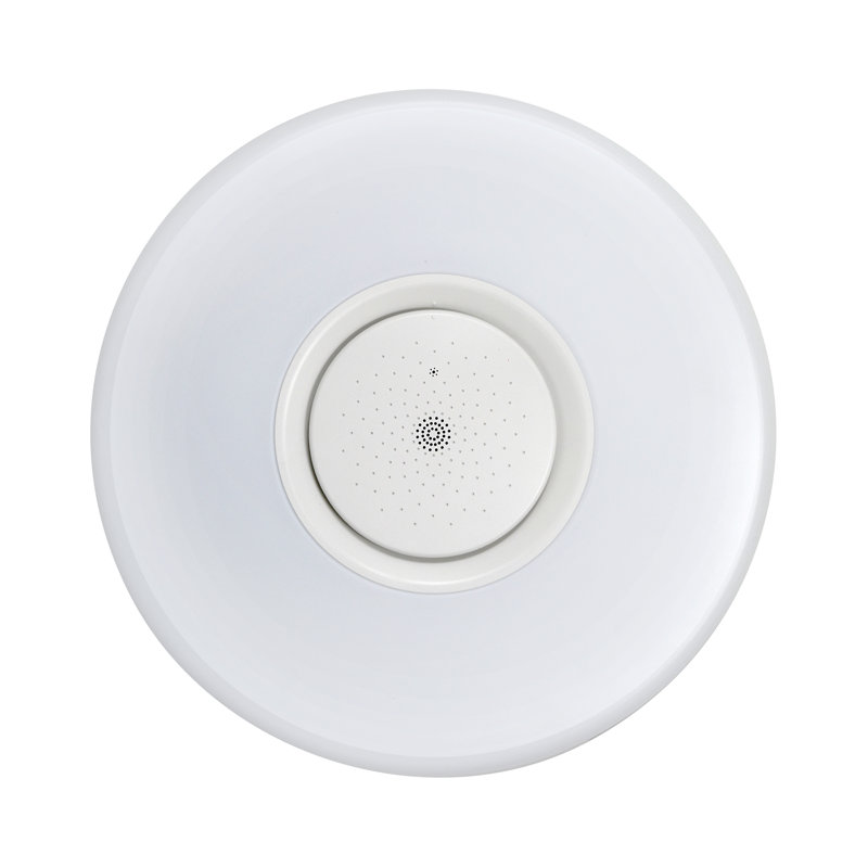 Acrylic LED Flush Mount