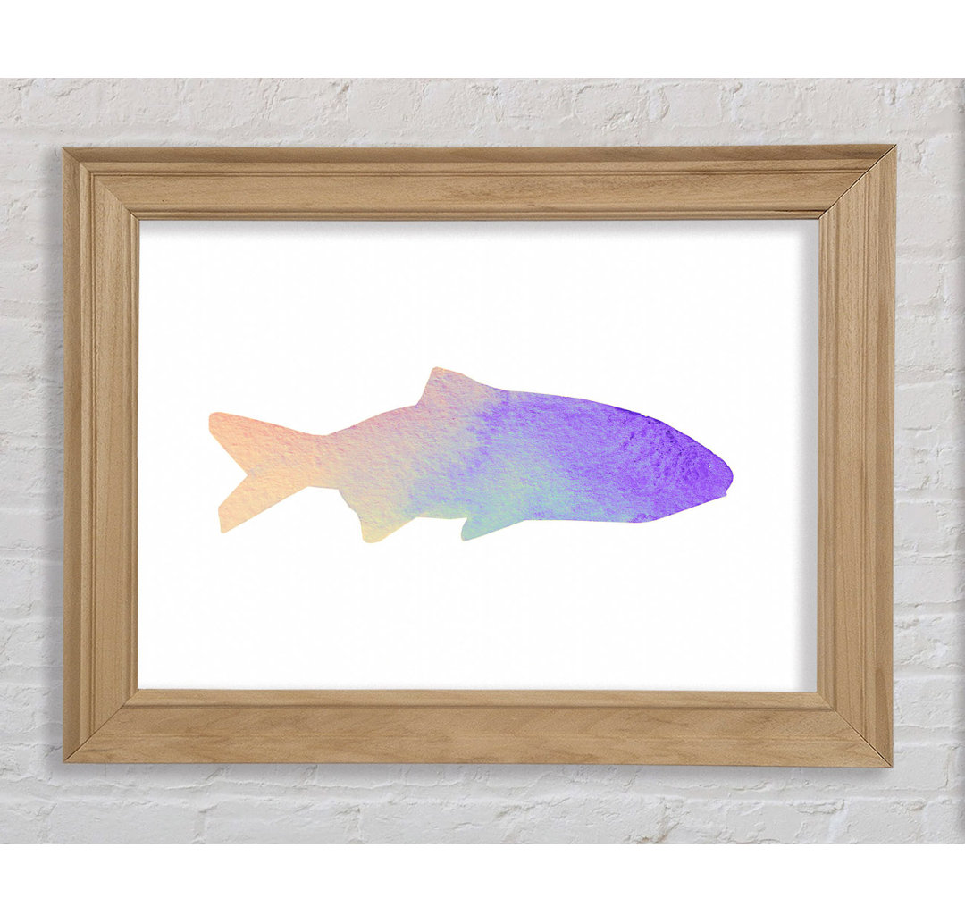 Gerahmtes Leinwandbild Rainbow Fish Framed Print