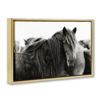 «Gazing Horse parmi le troupeau», art mural encadré par PHBurchett