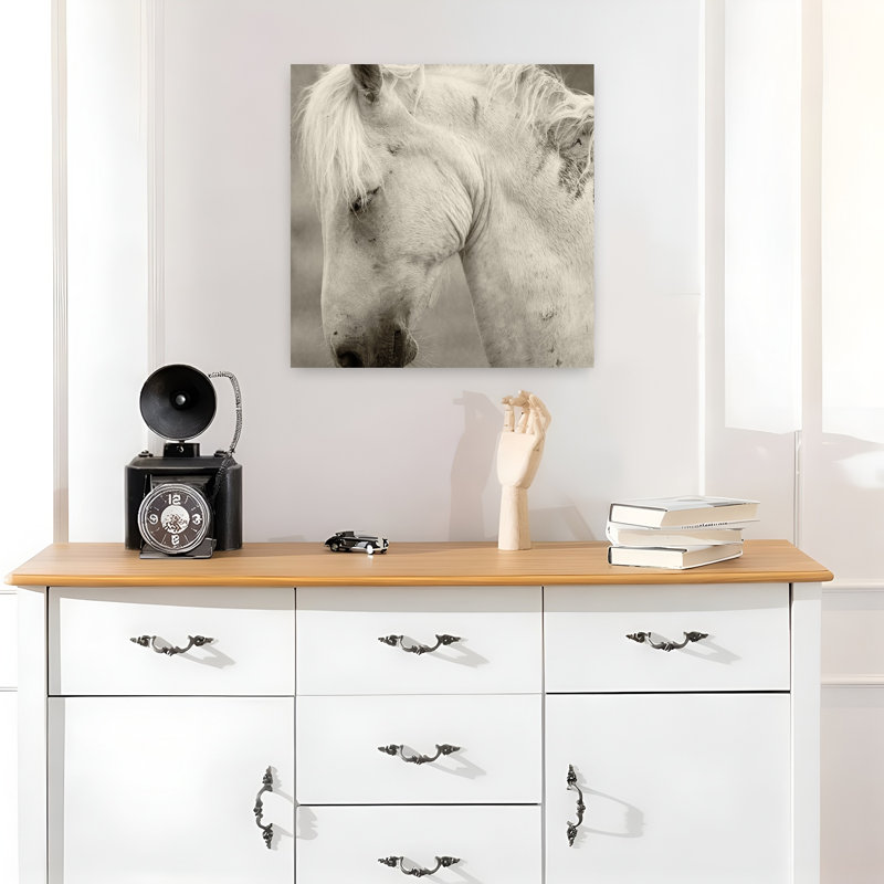 Peaceful White Horse Contemporary Horse Wall Art, 18" H x 18" W