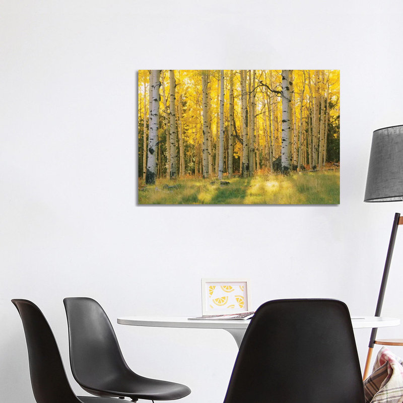 Aspen Trees In A Forest, Coconino National Forest, Arizona, Usa by Panoramic Images - Wrapped Canvas Print