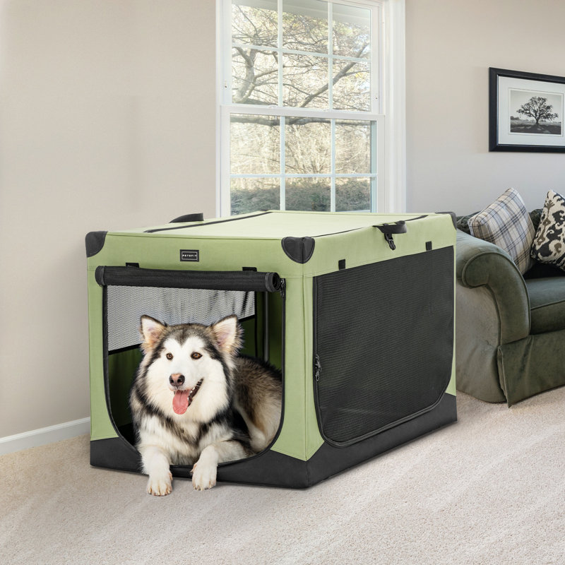 Cage pour chien réglable Tucker Murphy Pet ™, Très grand (H 25 po x l 39,5 po x P 25 po), Vert